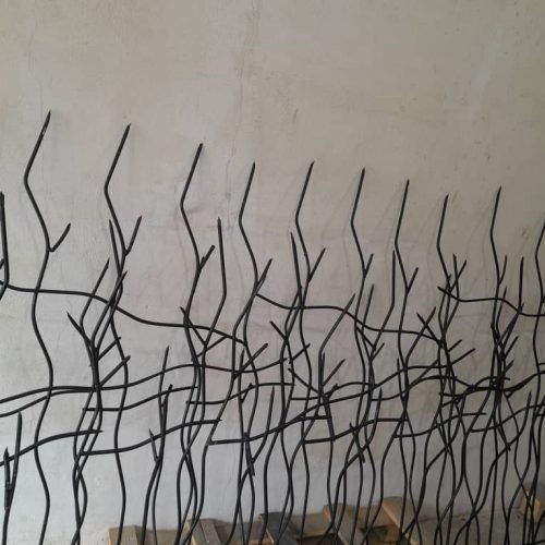 حفاظ شاخ گوزنی