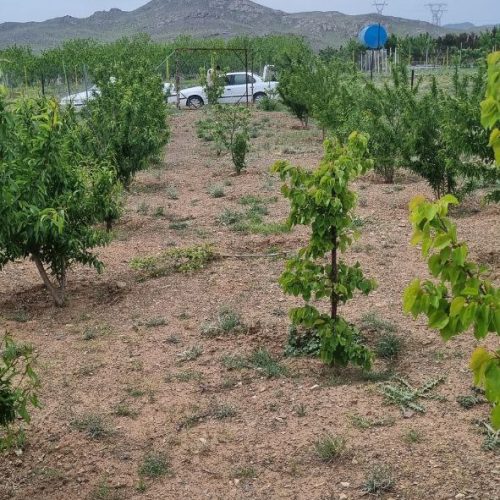 بخش خلجستان دستجرد فوری