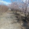 مشکل آب ندارد . سند 6 دانگ .گاز هم در طرح هادی است و مشکلی ندارد و زود حل می‌شود