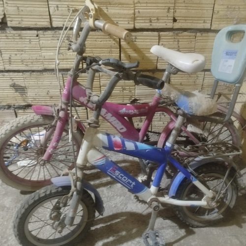 دو عدد دو چرخه