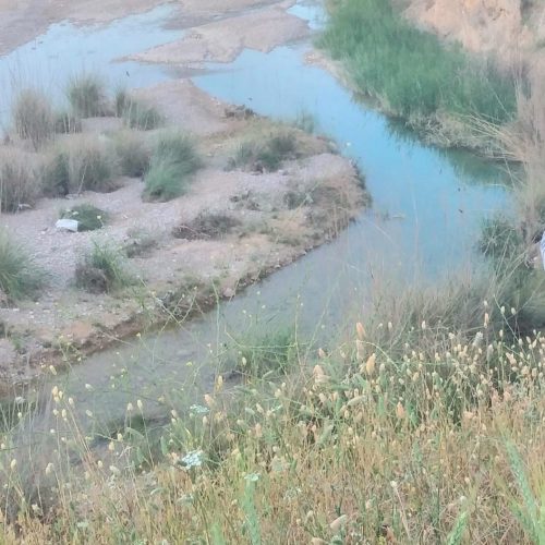 20 هزار متر زمین کشاورزی. باغملک. آل خورشید