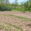 زمین مسکونی ویو عالی