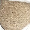 فروش گندم محلی