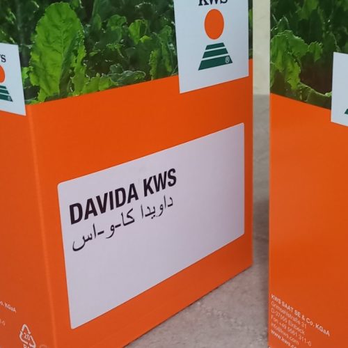 از شعبه ی گوگ تپه گرفته شده