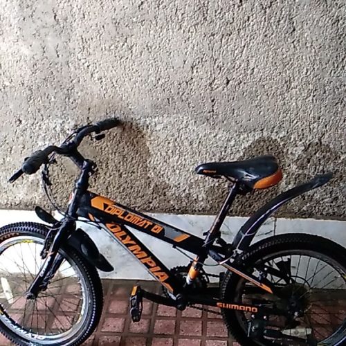 دوچرخه  بیست درحد نو