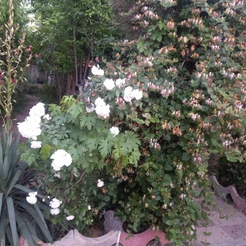 فروش خانه ویلایی 300متری شهریار لوکیشن عالی