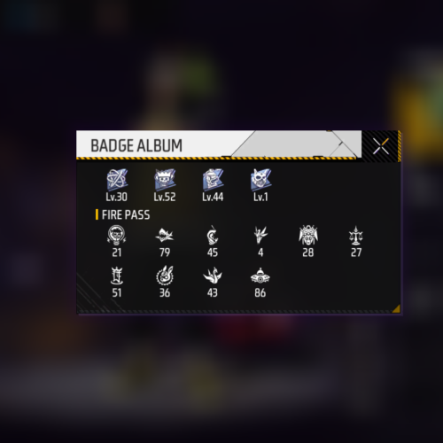 اکانت فری فایر 300