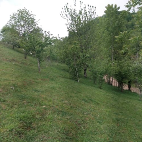 زمین کوه پایه ای