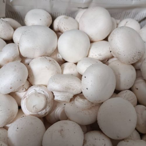 قارچ دکمه ای