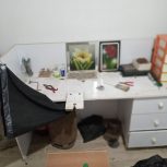 ابزار آلات طلاسازی