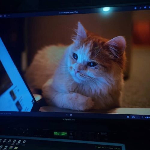 42اینچ xvision