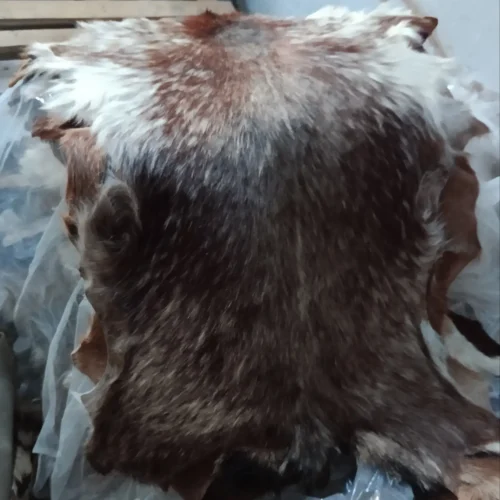 پوست گوسفند تزئینی دباغی بزی