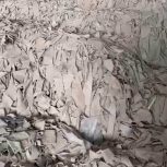 ضایعات چرم بزی