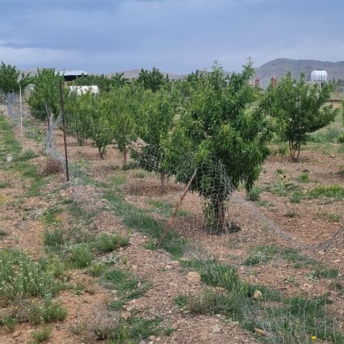 بخش خلجستان دستجرد فوری