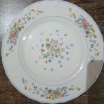 بشقاب غذا خوری میوه خوری وخورشید خوری آرکوپال