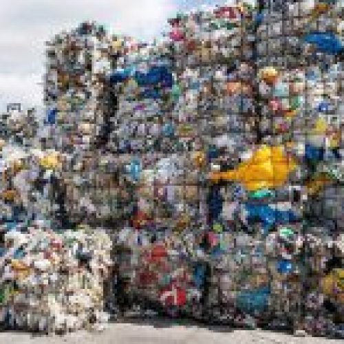 خرید انواع ضایعات و خرید درخت خشکیده