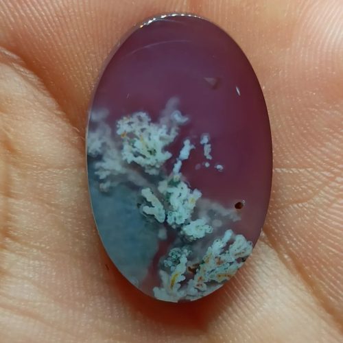 سنگهای معدنی شجر وعقیق کلکسیونی