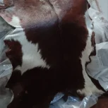 فروش پوست طبیعی بزی