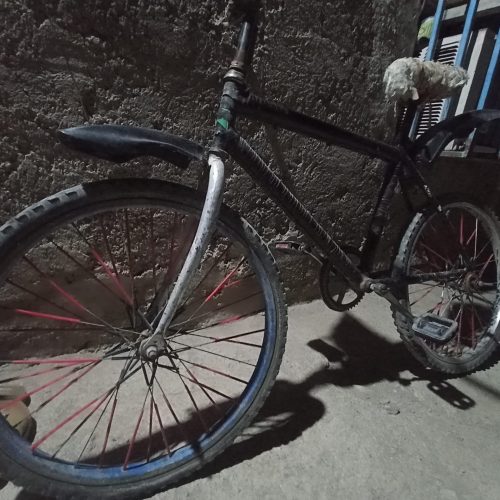 یک عدد دوچرخه 24