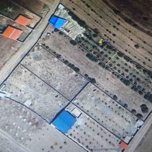 باغ با سند شش دانگ مابین کانکشن وکروس