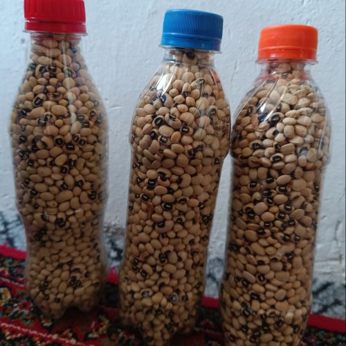 لوبیا جشم بلبلی .دلار محلی ارگانیک.پاج باقالی تازه