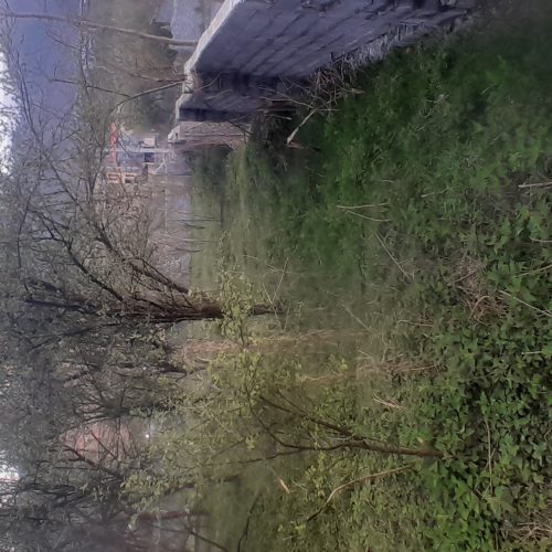 مازندران فروش زمین مسکونی 852متر