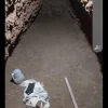 چاه آب و فاضلاب