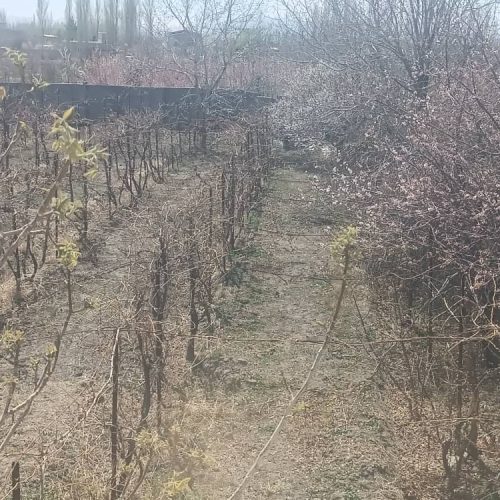 مشکل آب ندارد . سند 6 دانگ .گاز هم در طرح هادی است و مشکلی ندارد و زود حل می‌شود