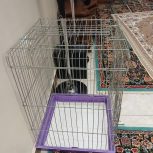 قفس پرنده بزرگ نونو