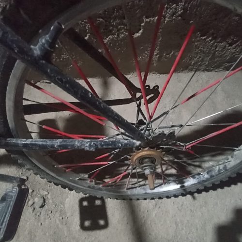 یک عدد دوچرخه 24