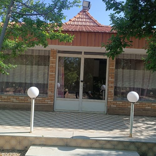 باغ ویلایی