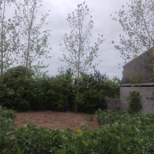 فروش زمین 160 متری قیمت توافقی بابلسر روستای رودبست