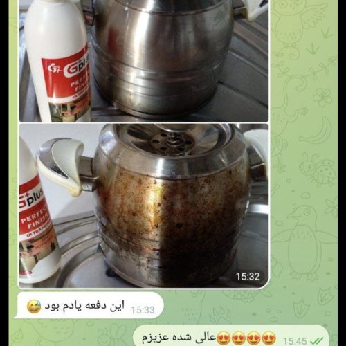 شوینده معجزه گر نانو خانگی و خودرویی (تک و عمده)
