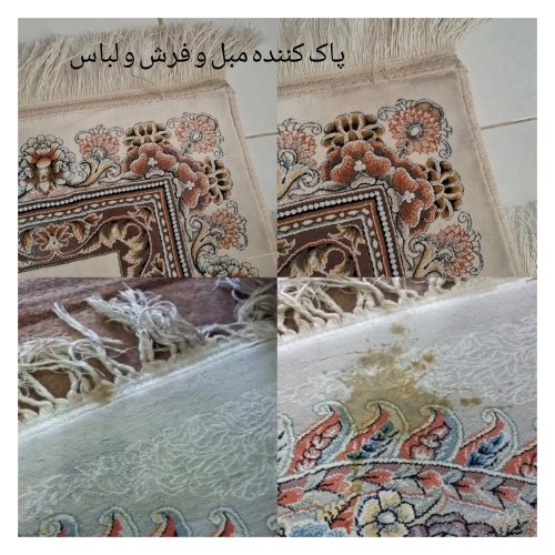 شوینده معجزه گر نانو خانگی و خودرویی (تک و عمده)