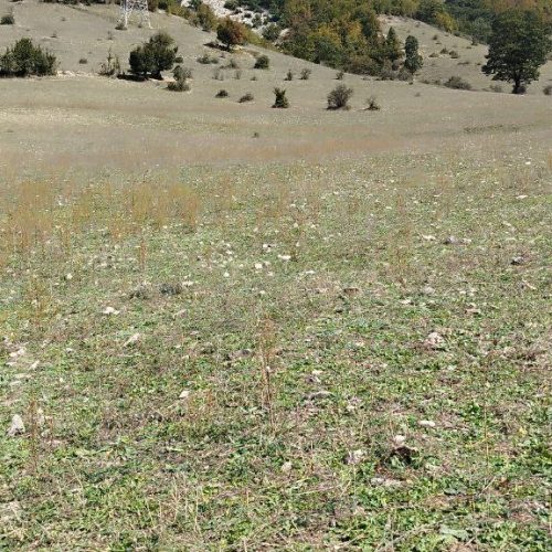 3100متر زمین خارج از بافت زیر قیمت.قیمت مقطوع