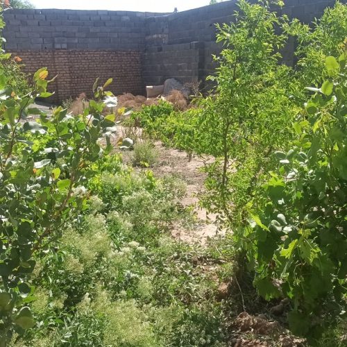 چهار دیواری