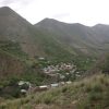 باغ میوه در جاده چالوس در روستای مورود
