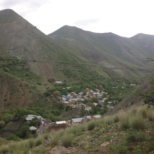 باغ میوه در جاده چالوس در روستای مورود