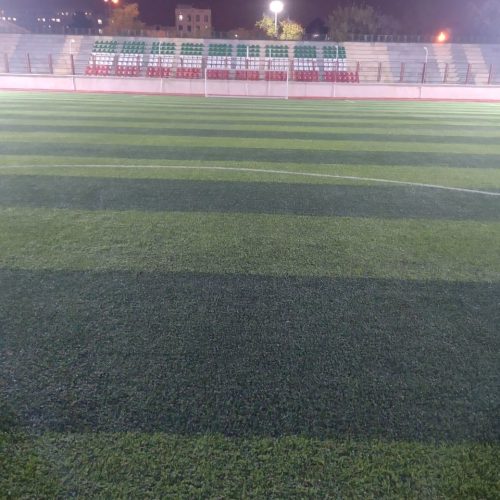 سورنا . فوتبال حرفه ای . دروازه بانی حرفه ای