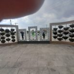 نظا فتچی ساده