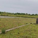 فروش چند قطعه زمین داخل بافت در نور مازندران