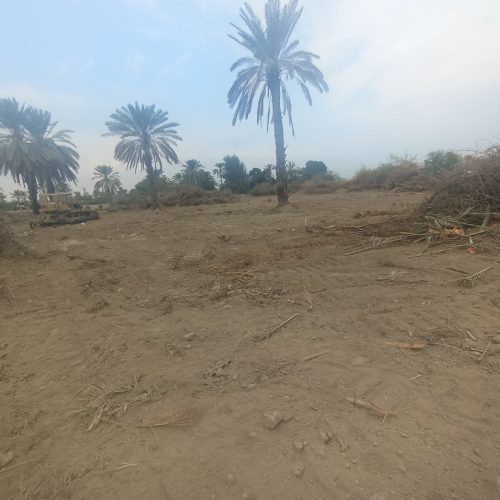 فروش یه قطعه زمین 600متری