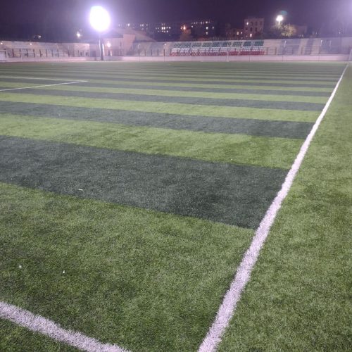 سورنا . فوتبال حرفه ای . دروازه بانی حرفه ای