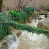 اقامتگاه دو خوابه داخل باغ پاوه روستای داریان