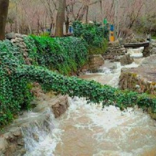 اقامتگاه دو خوابه داخل باغ پاوه روستای داریان