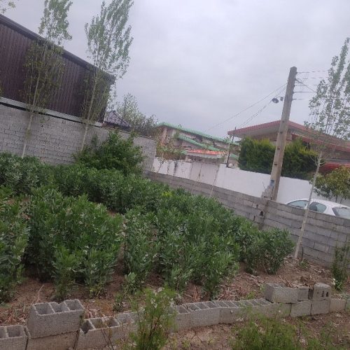 فروش زمین 160 متری قیمت توافقی بابلسر روستای رودبست