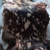 پوست گوسفند تزئینی دباغی بزی