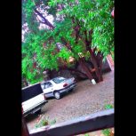 فروش یا معاوضه خانه مسکونی