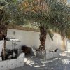 سویت روزانه،ویلایی، مبله و مجهز