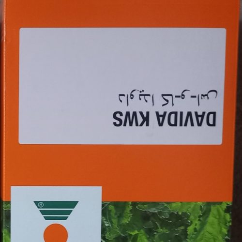 از شعبه ی گوگ تپه گرفته شده